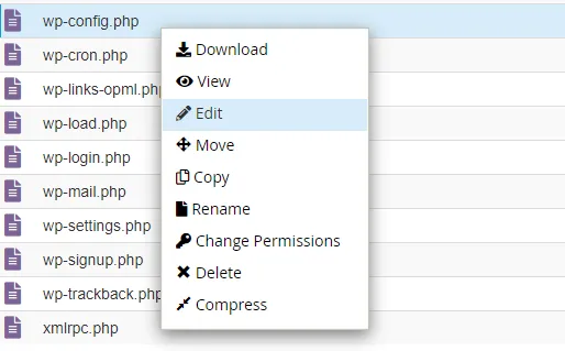 Редактирование wp-config.php с помощью cPanel