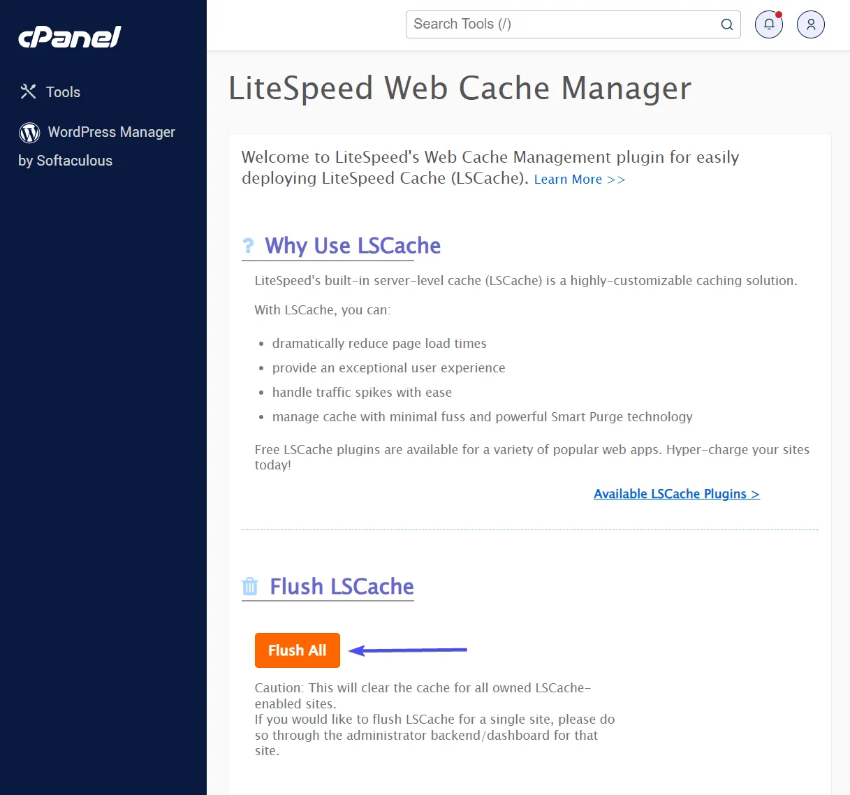 LiteSpeed ​​Web Cache Manager, который можно использовать для очистки кэша сервера.