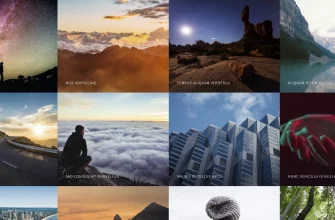 Бесплатный шаблон сайта Multiverse